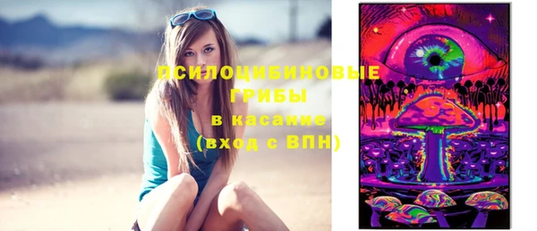 гашик Абинск