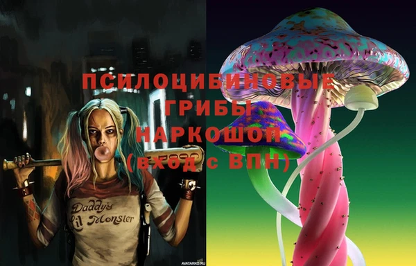 гашик Абинск