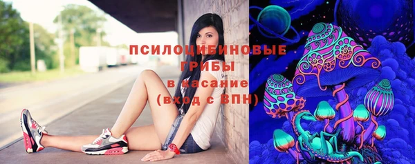 шишки Абдулино