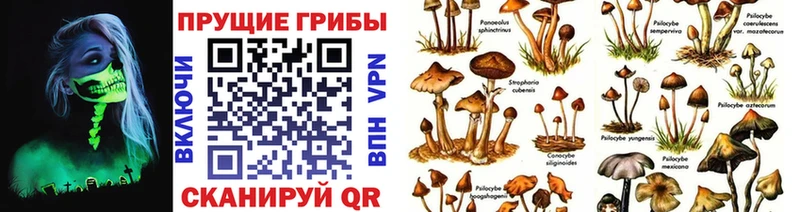 Галлюциногенные грибы ЛСД  Торопец 