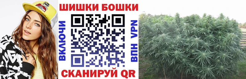 купить наркотики цена  Торопец  Канабис индика 